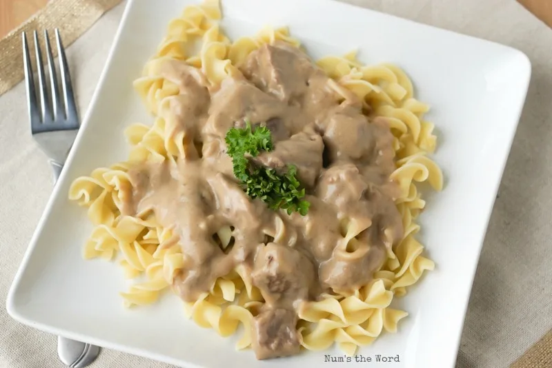 Crock Pot Beef Stroganoff - Stroganoff on plate over noodles. Photo taken from above.