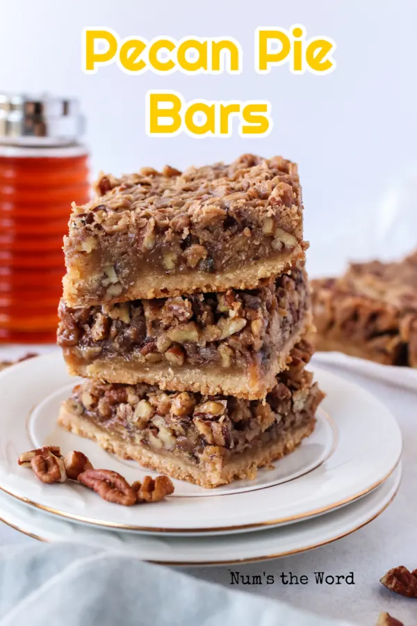 Main image for recipe of Pecan Pie Bars.