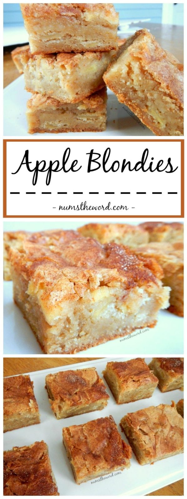 Cinnamon Sugar Apple Blondies Recipe Num's the Word