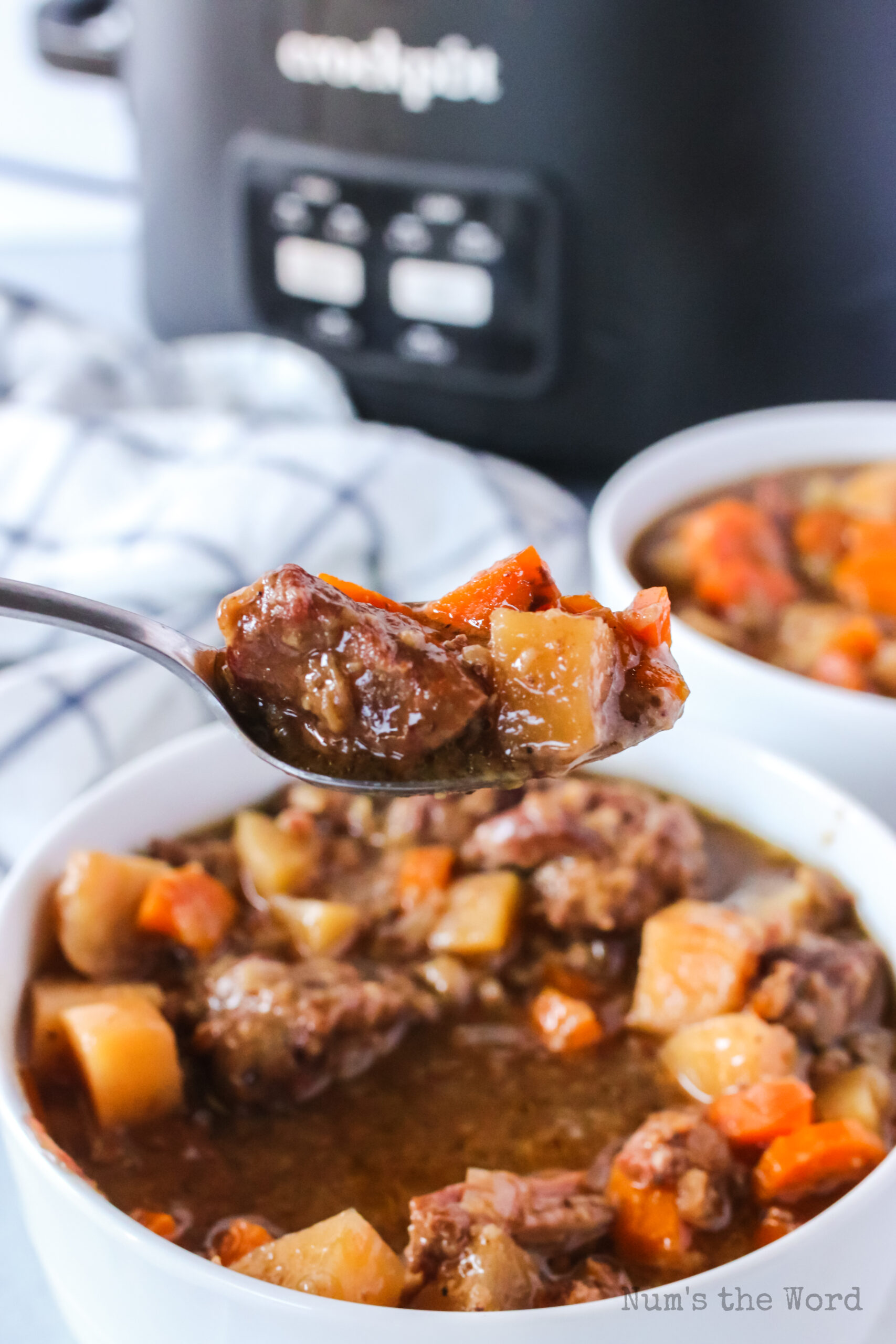 zoomed in image of beef stew with a spoonful being lifted into the air.