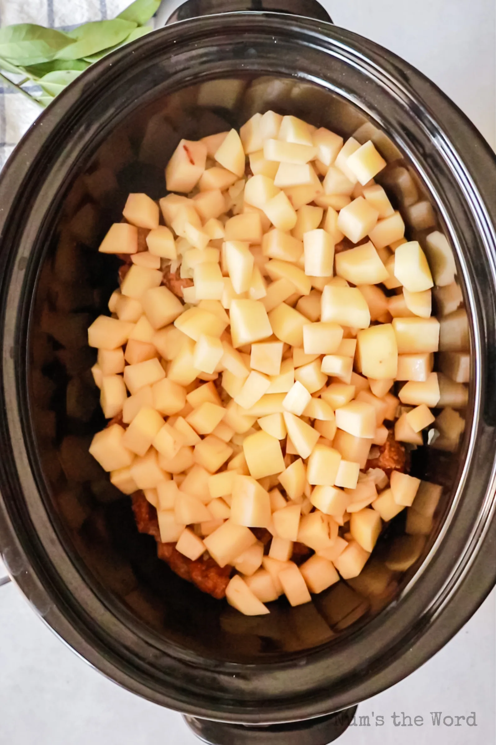 Potatoes added to crock pot on top of onions.