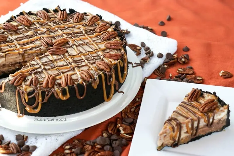 Turtle Cheesecake