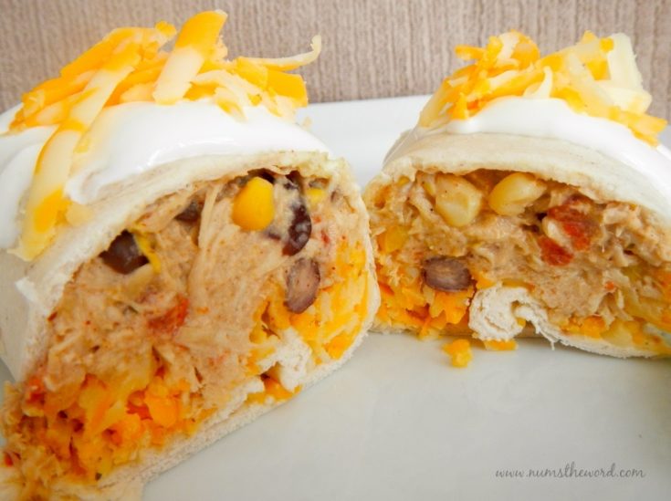 Crock Pot Chicken Tortilla Wraps