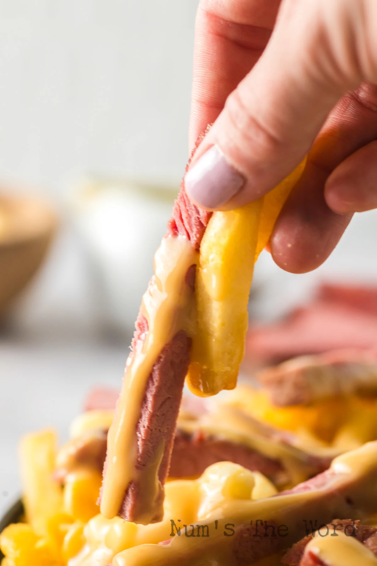 hand holding a fry and corned beef covered in gravy.