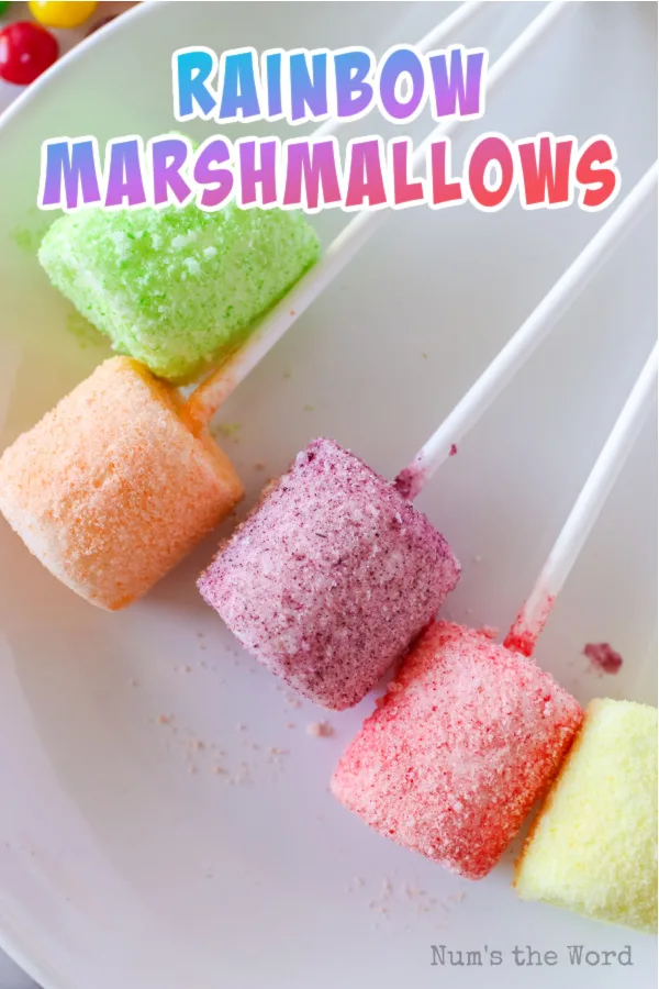 main image for Pinterest of rainbow marshmallows
