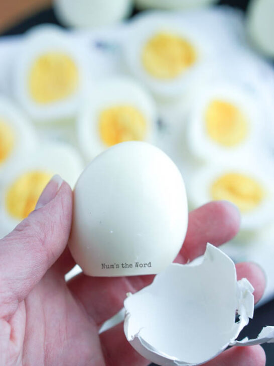 zoomed in image of a hand holding a peeled egg to show how perfect it is.