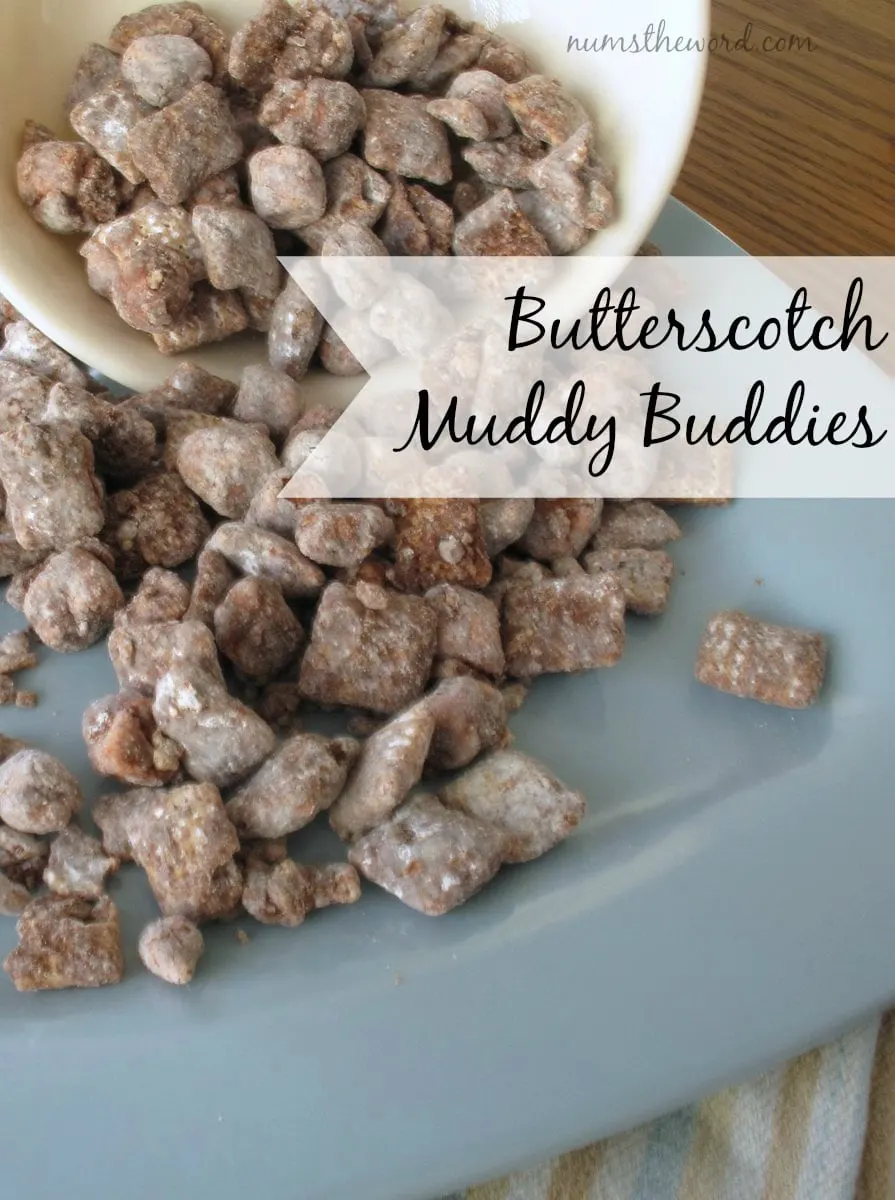 Butterscotch Muddy BUddies