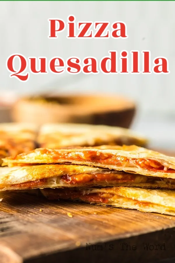 Main image for Pizza Quesadilla