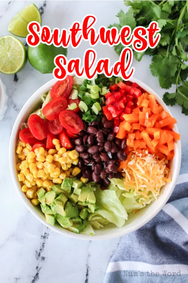 Main image for southwest salad