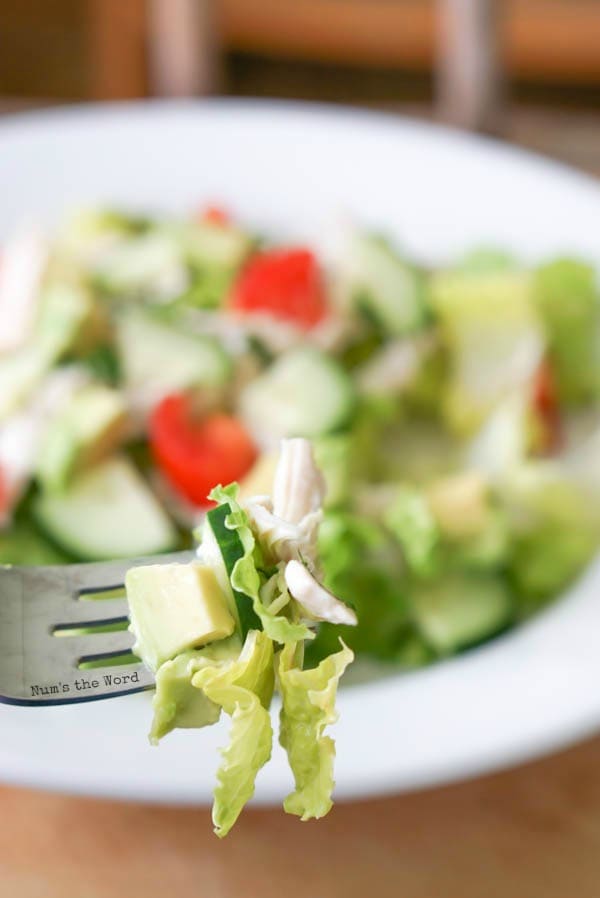 Chicken & Avocado Salad - fork full with salad, avocado and chicken