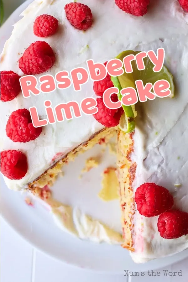 Pistachio Raspberry Lime Mousse Cake Recipe - Christmas Cake