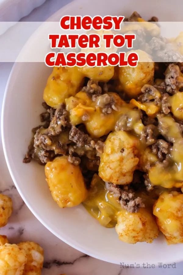 Cheesy Tater Tot Casserole - Num's the Word