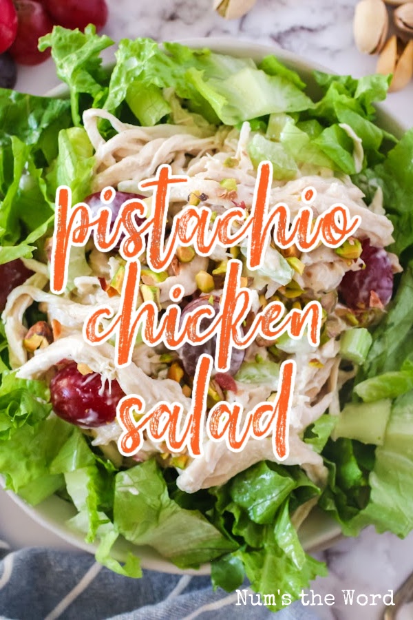 Main image for Pistachio Chicken Salad