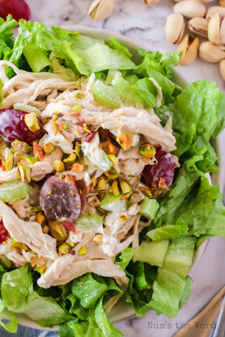 zoomed in image of pistachio chicken salad