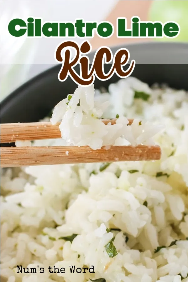 Main image for Cilantro Lime Rice