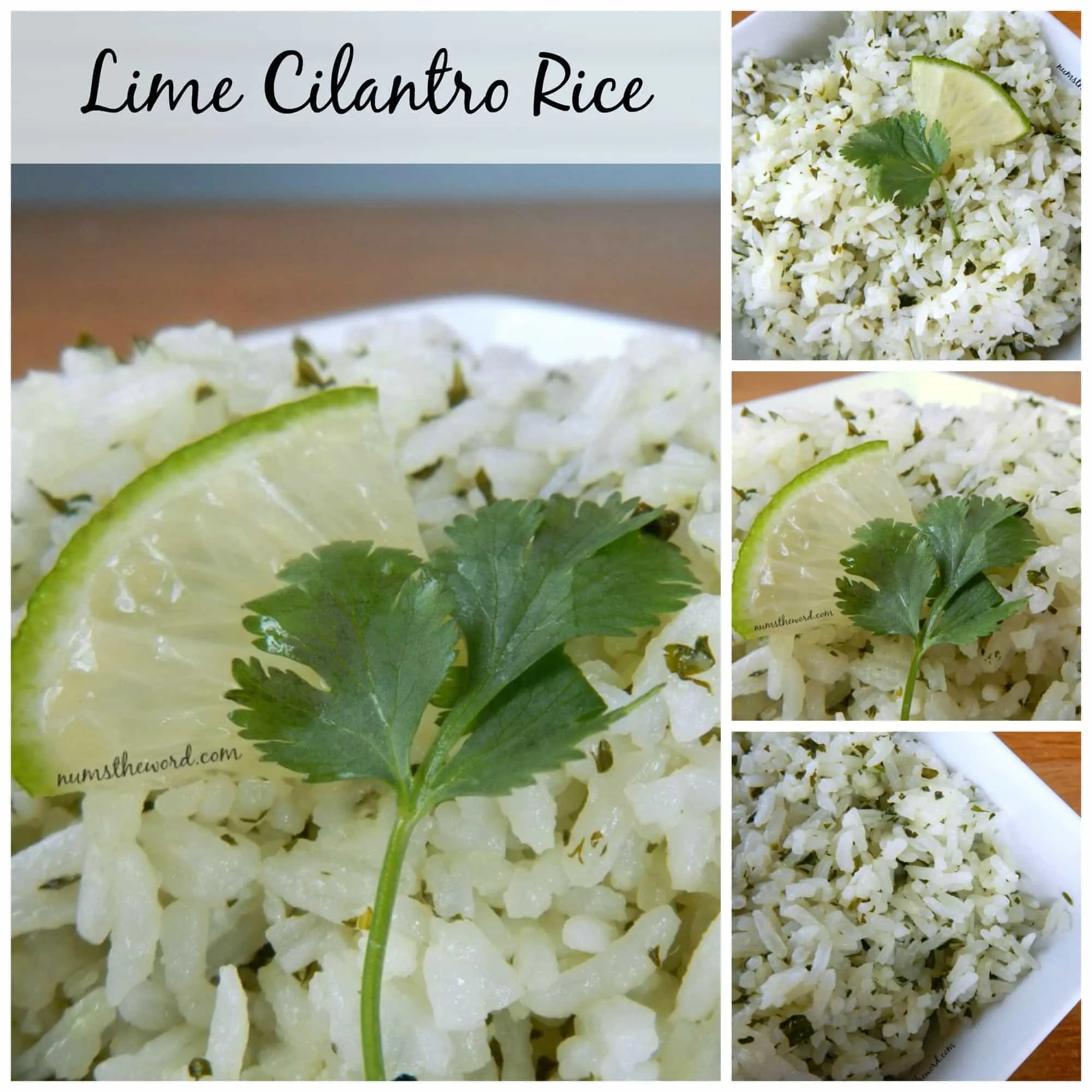 Lime Cilantro Rice