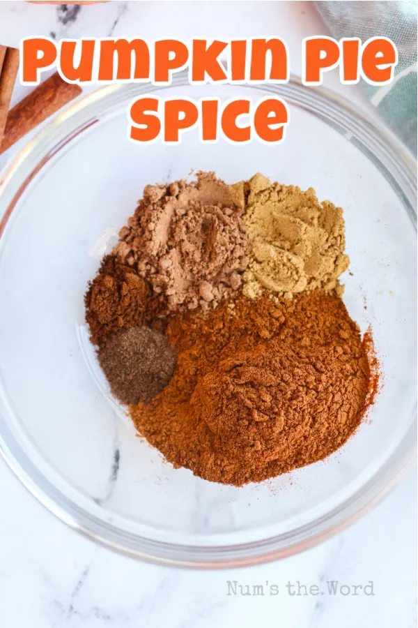 Main image for recipe of all spices in bowl, unmixed.