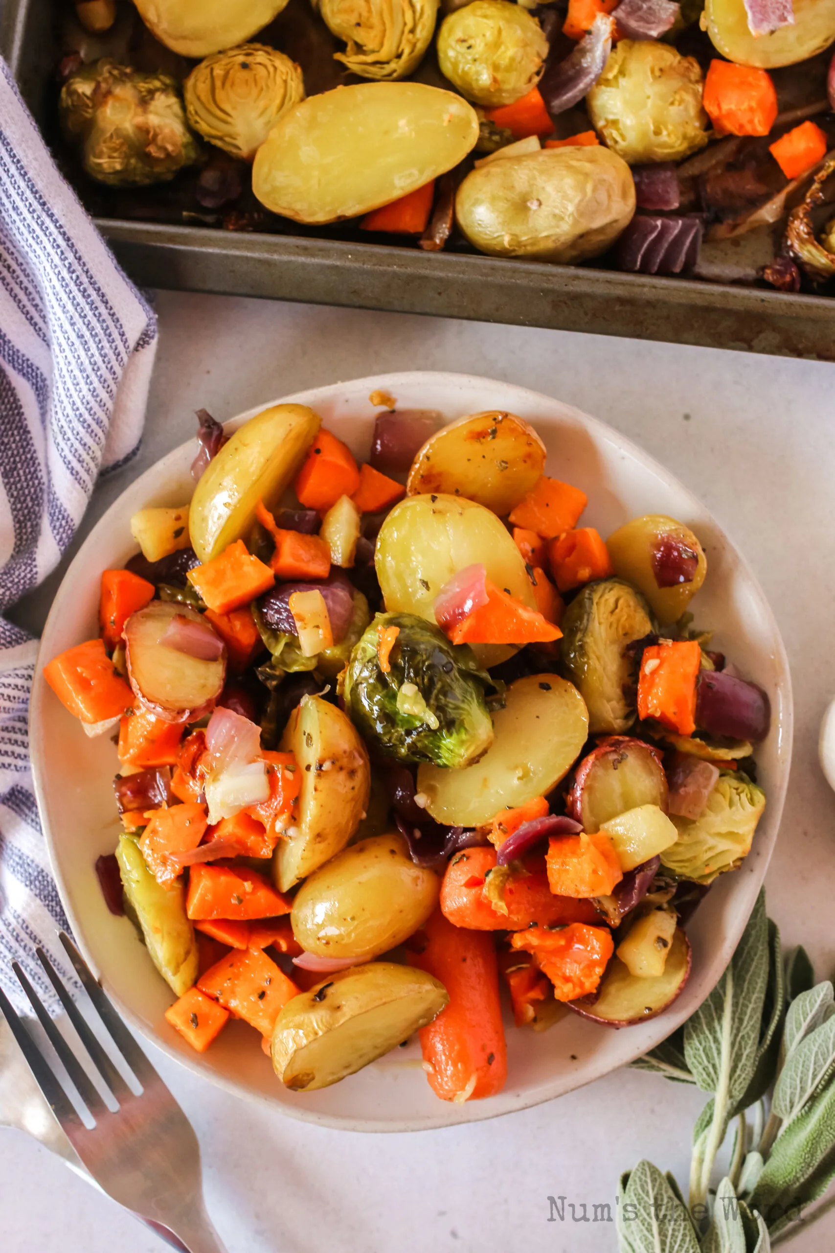 plate full of winter vegetables next to sheet pan