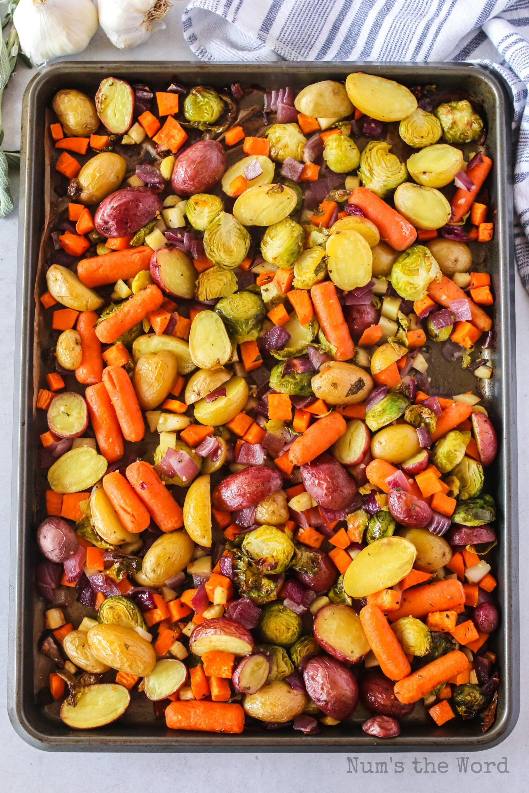 roasted winter vegetables baked and ready to serve