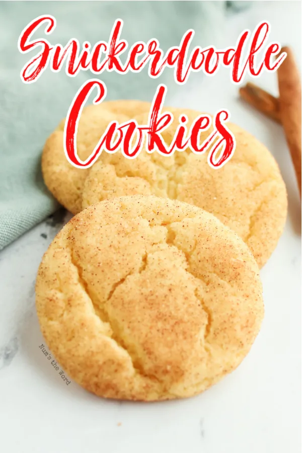 main image for recipe of snickerdoodle cookies