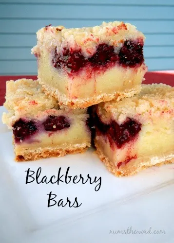 Blackberry Bars