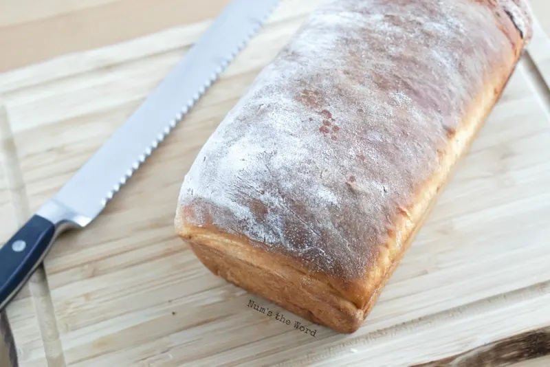 Cinnamon Roll Bread - fresh out of the oven cinnamon roll bread, unsliced