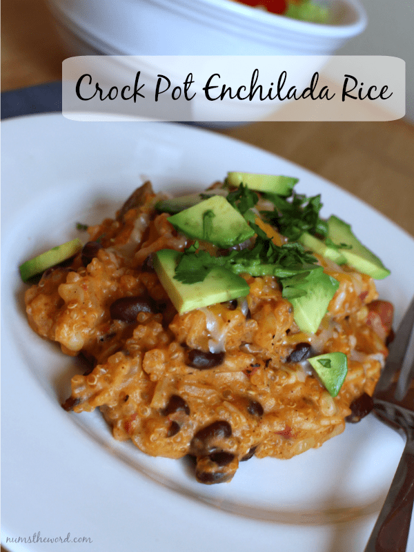 Crock Pot Enchilada Rice