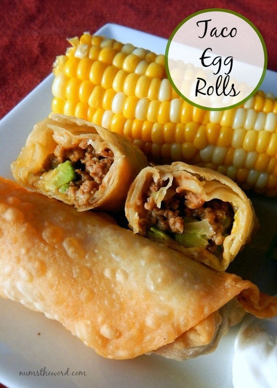 Mexican Egg Rolls - Hot Rod's Recipes