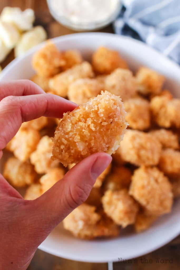 Fried Cheese Curds Num's the Word