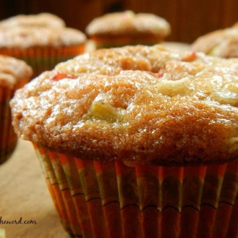 Rhubarb Muffins-image