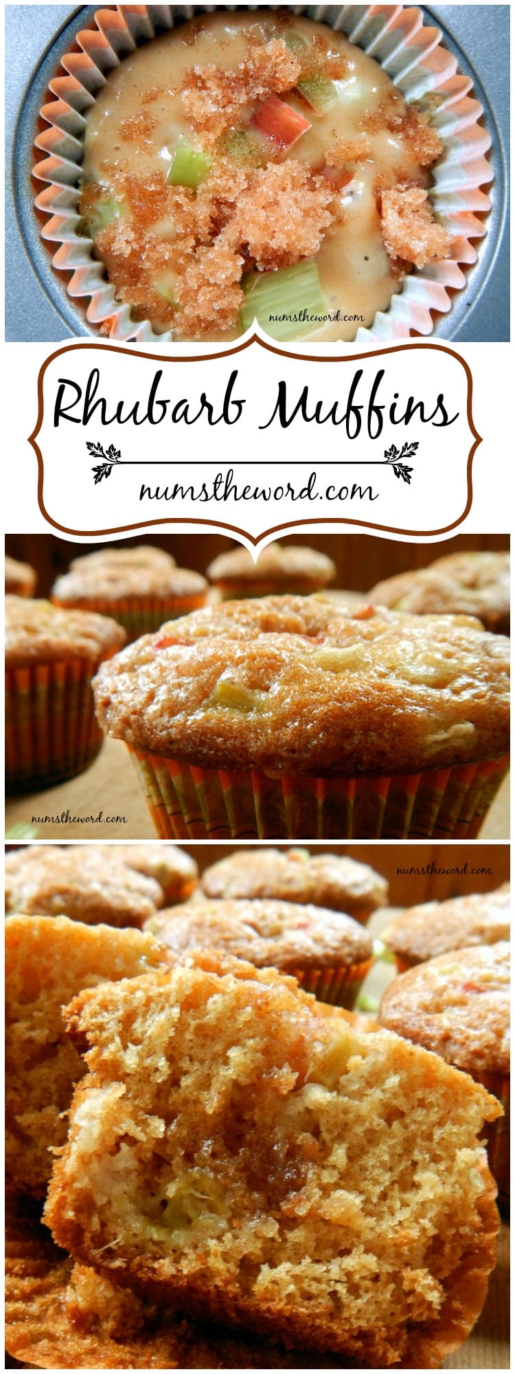 Rhubarb Muffins Rhubarb Muffins