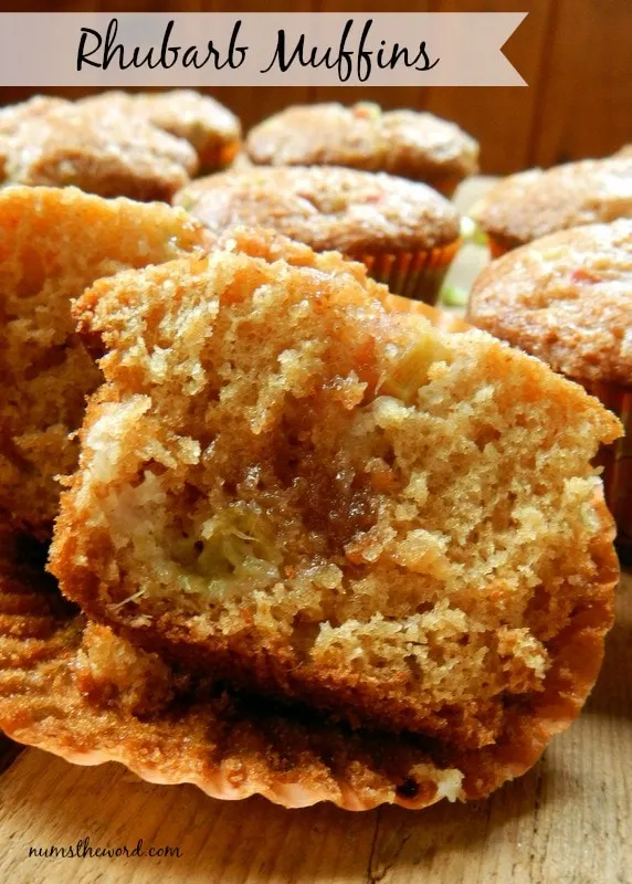 Rhubarb Muffins - Muffin broken in half to show insides. YUUUUMY!