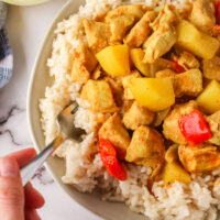 zoomed in image of yellow curry over coconut rice with a fork scooping a portion over.