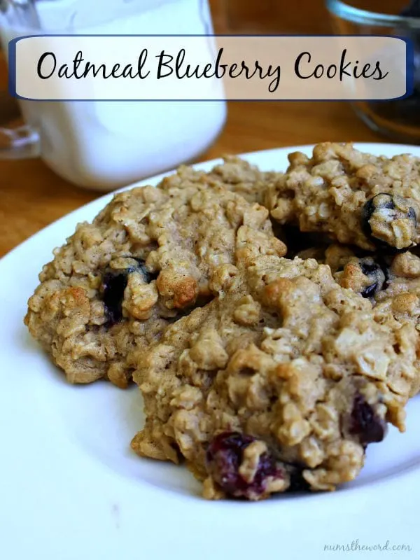 Oatmeal Blueberry Cookies