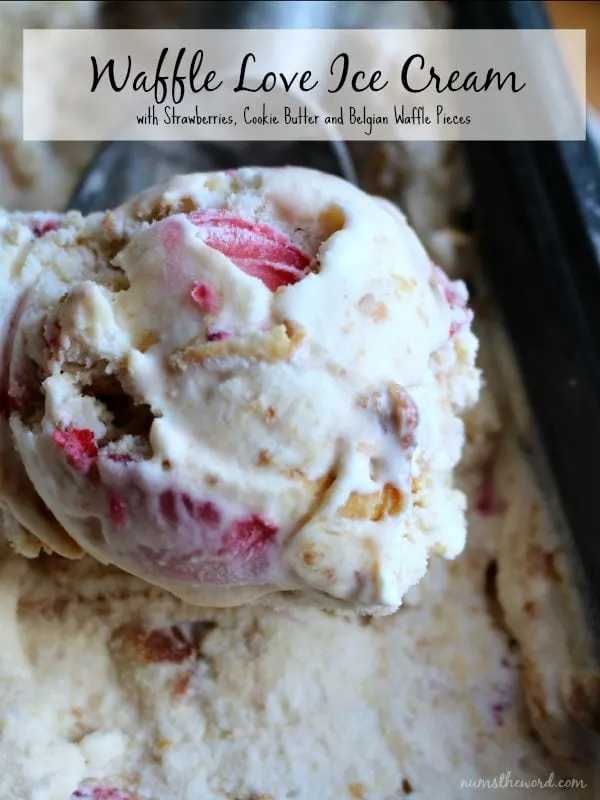 Waffle Love Ice Cream