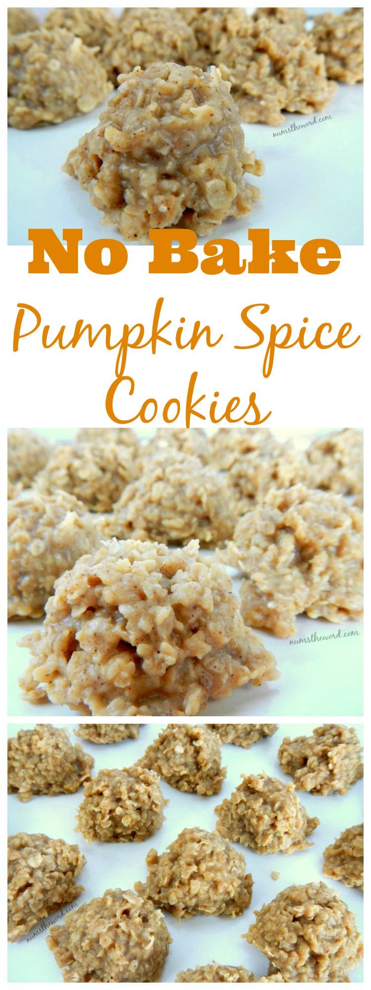 No Bake Pumpkin Spice Cookies Nums The Word