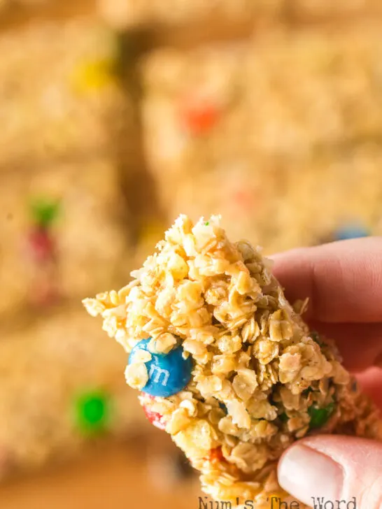 hand holding a granola bar.