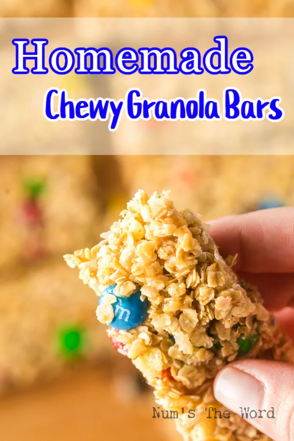 Main image for Homemade Chewy Granola Bars recipe.