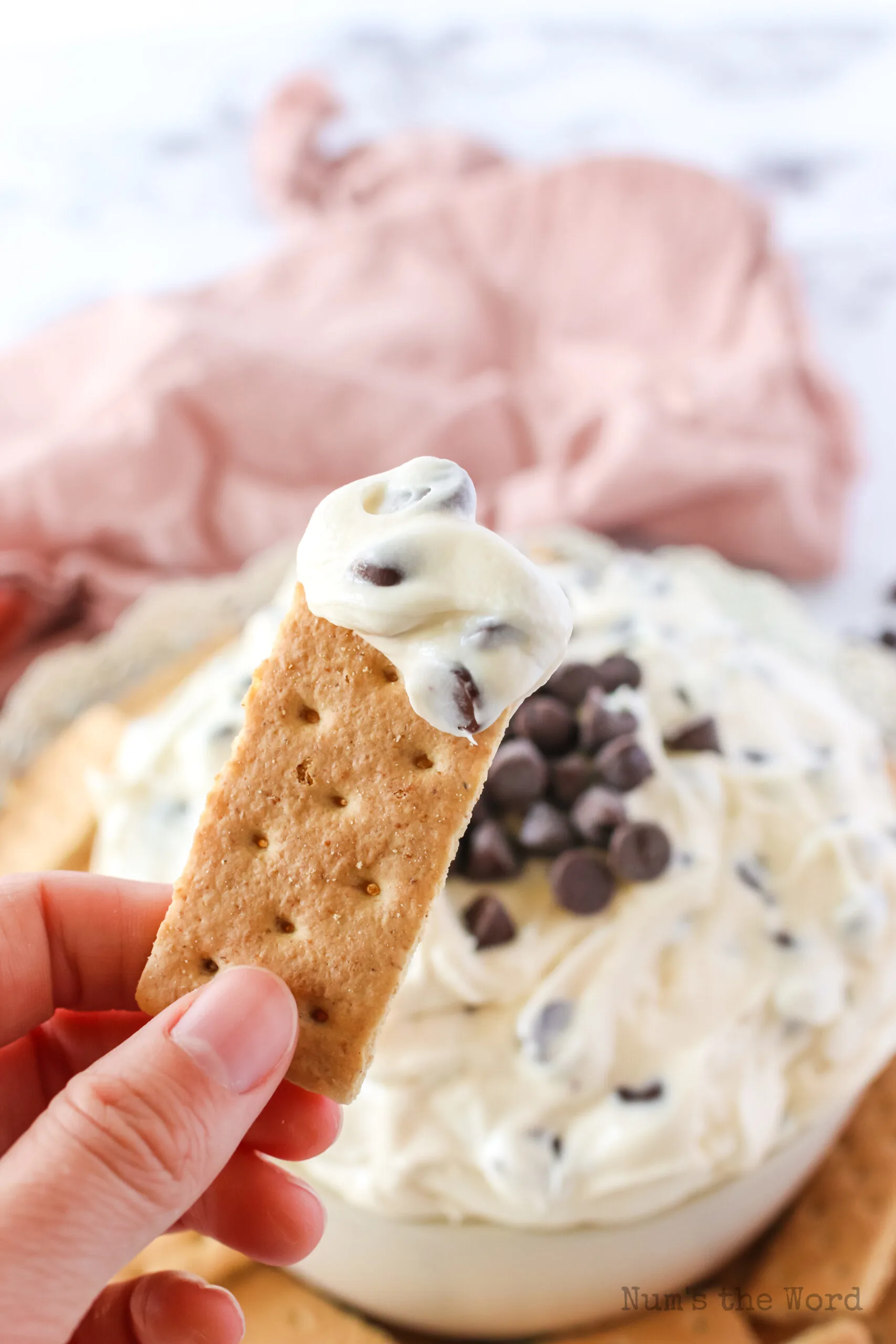 hand holding a graham cracker dipped in cheesecake dip