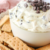 zoomed in image of dip in a bowl with extra chocolate chips