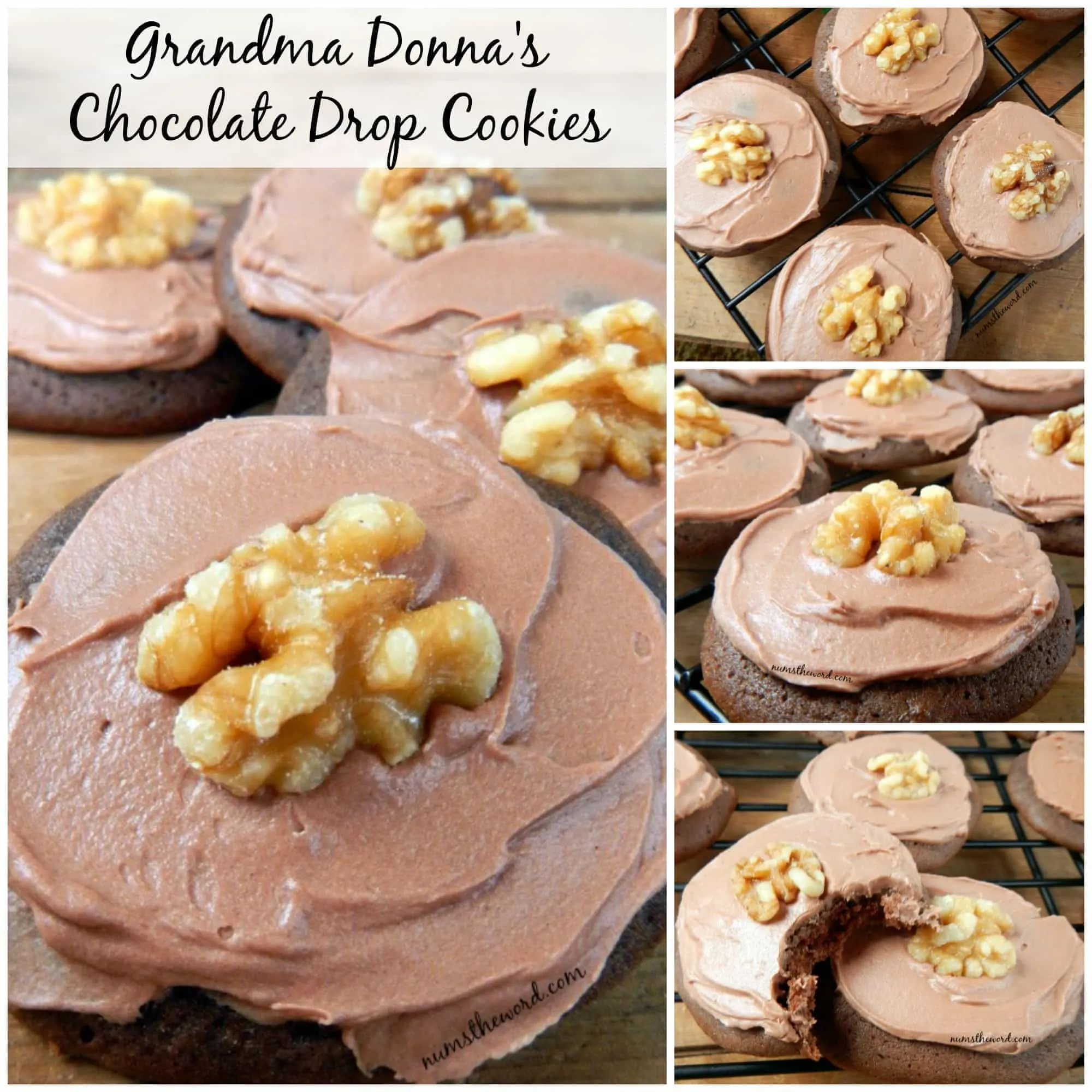 Grandma Donna's Chocolate Drop Cookies