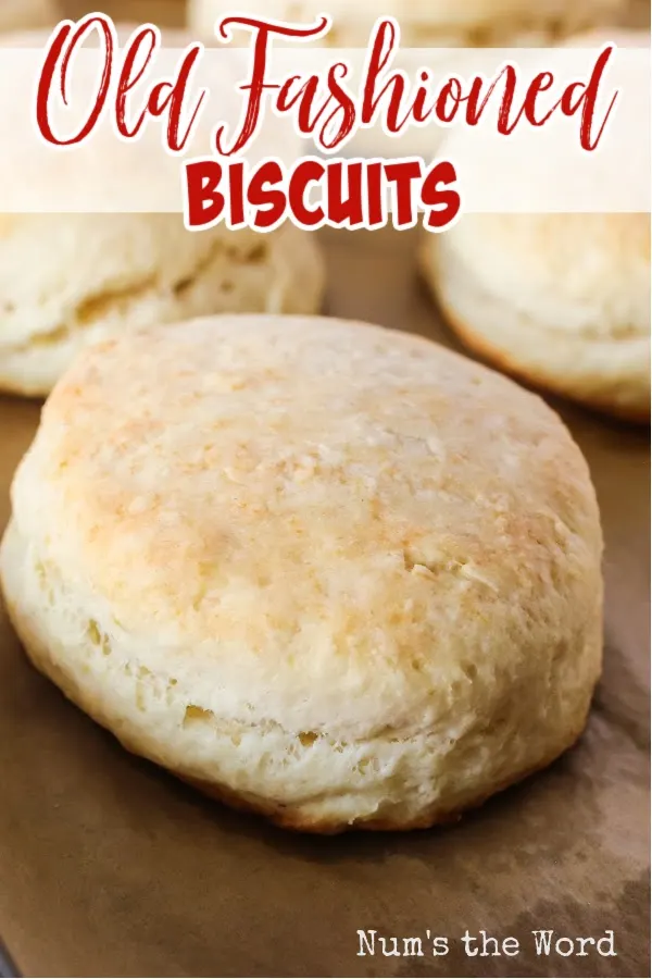 Main image of old fashioned biscuits