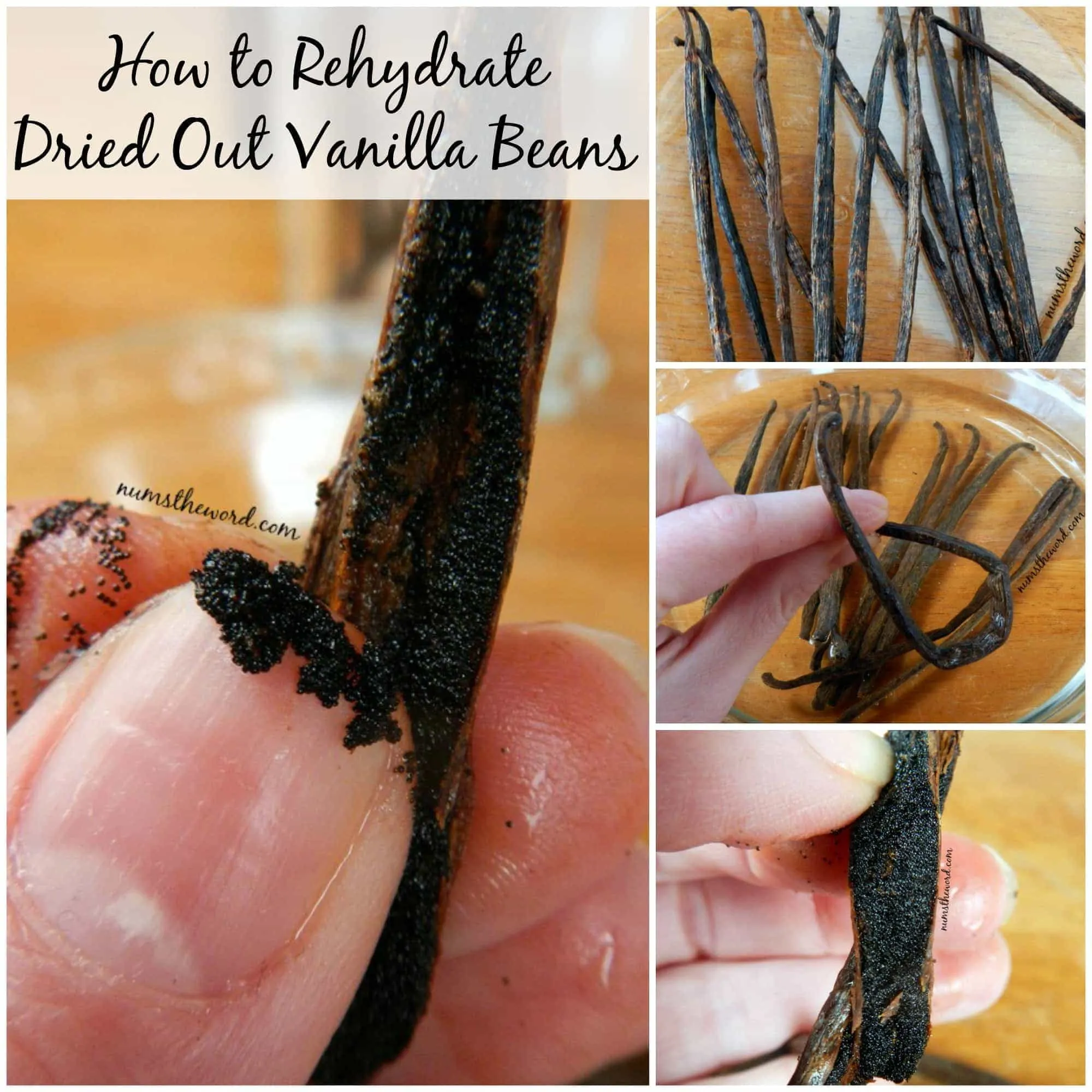 How to Rehydrate Dried Out Vanilla Beans
