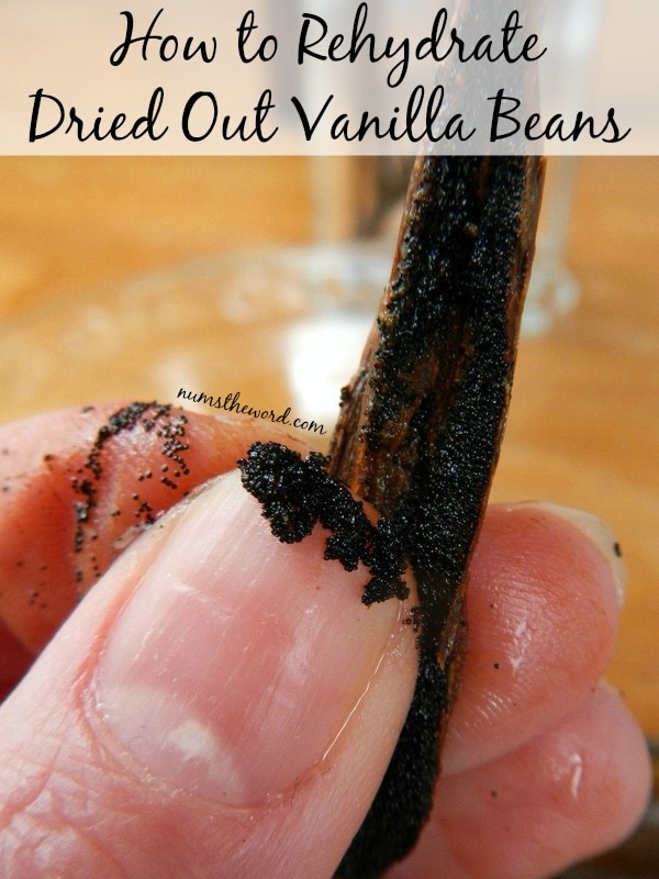 How to Rehydrate Dried Out Vanilla Beans
