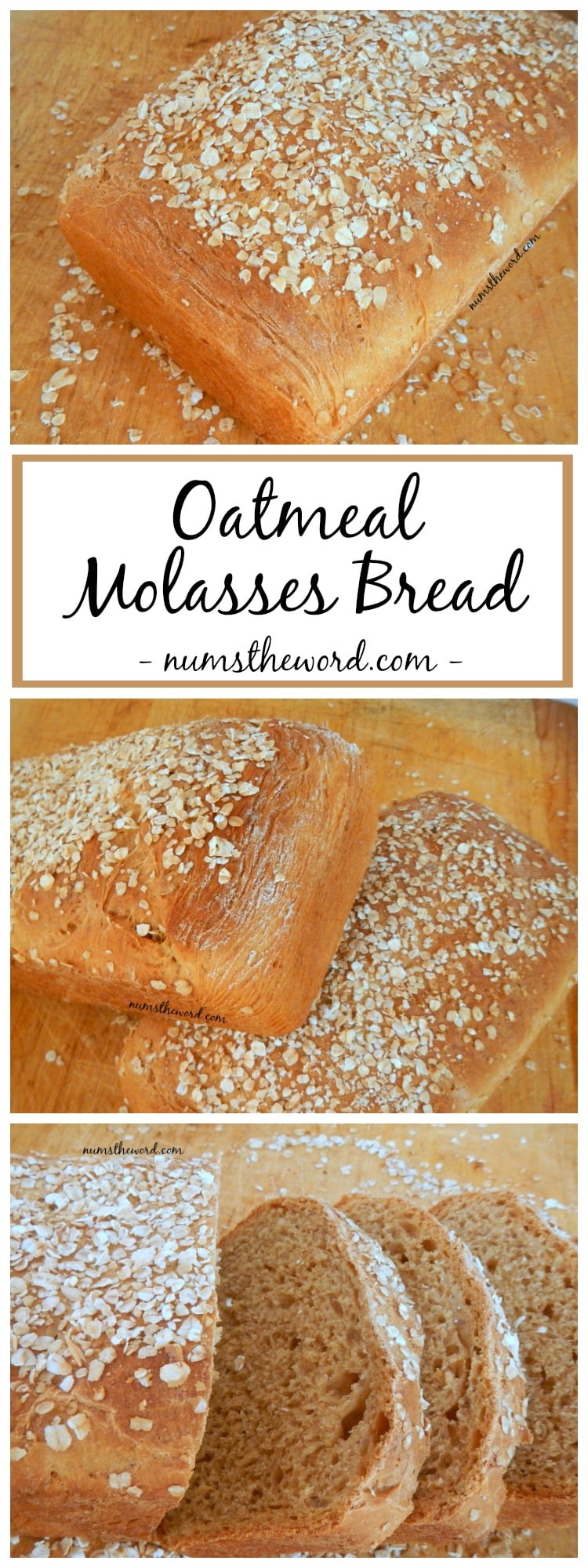 oatmeal-molasses-bread-num-s-the-word