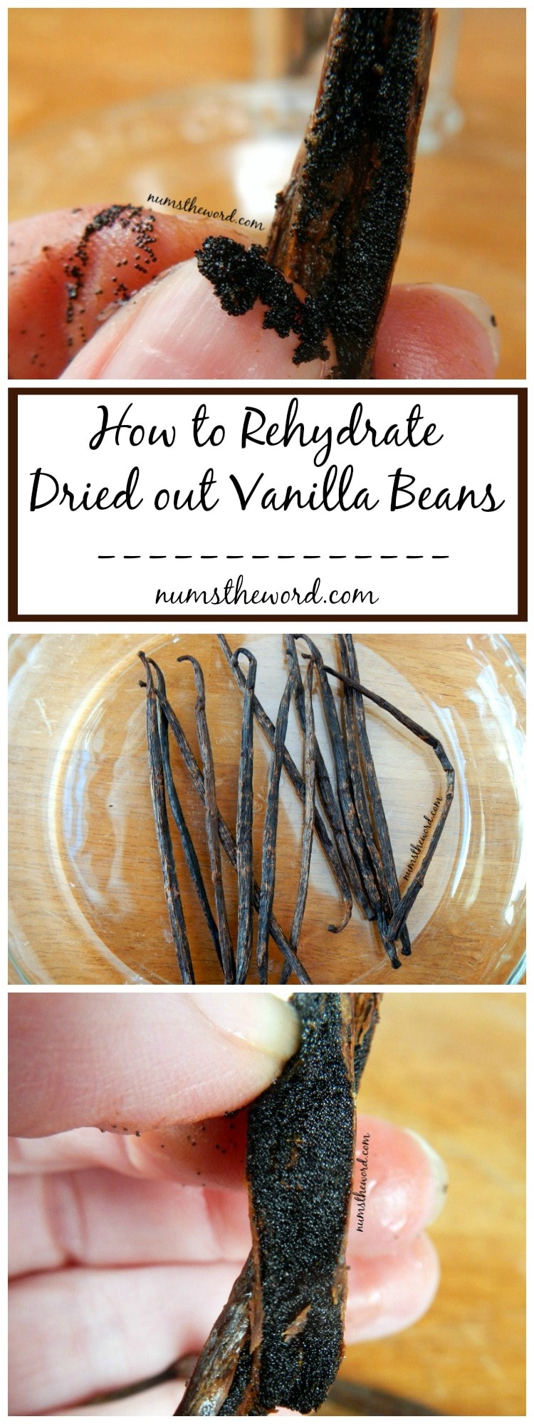 How to Rehydrate Dried Out Vanilla Beans Num's the Word