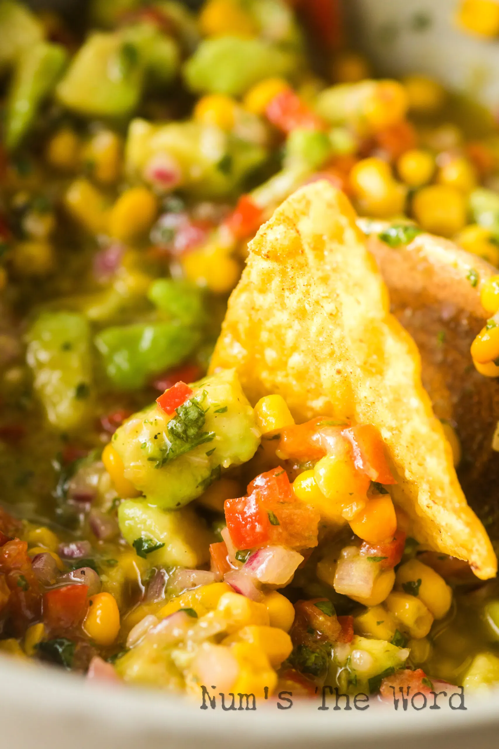 chip standing up in dip.