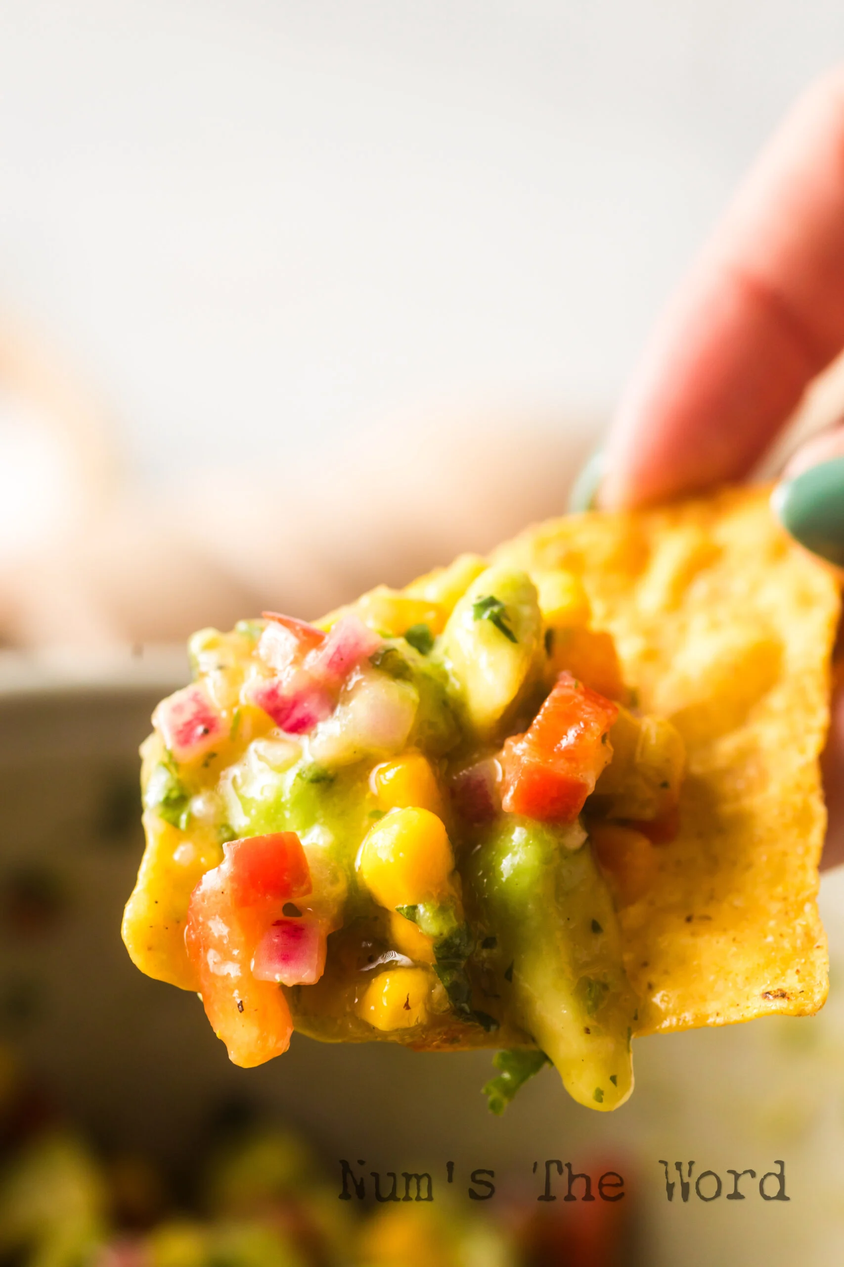 zoomed in image of hand holding a chip with salsa on it.