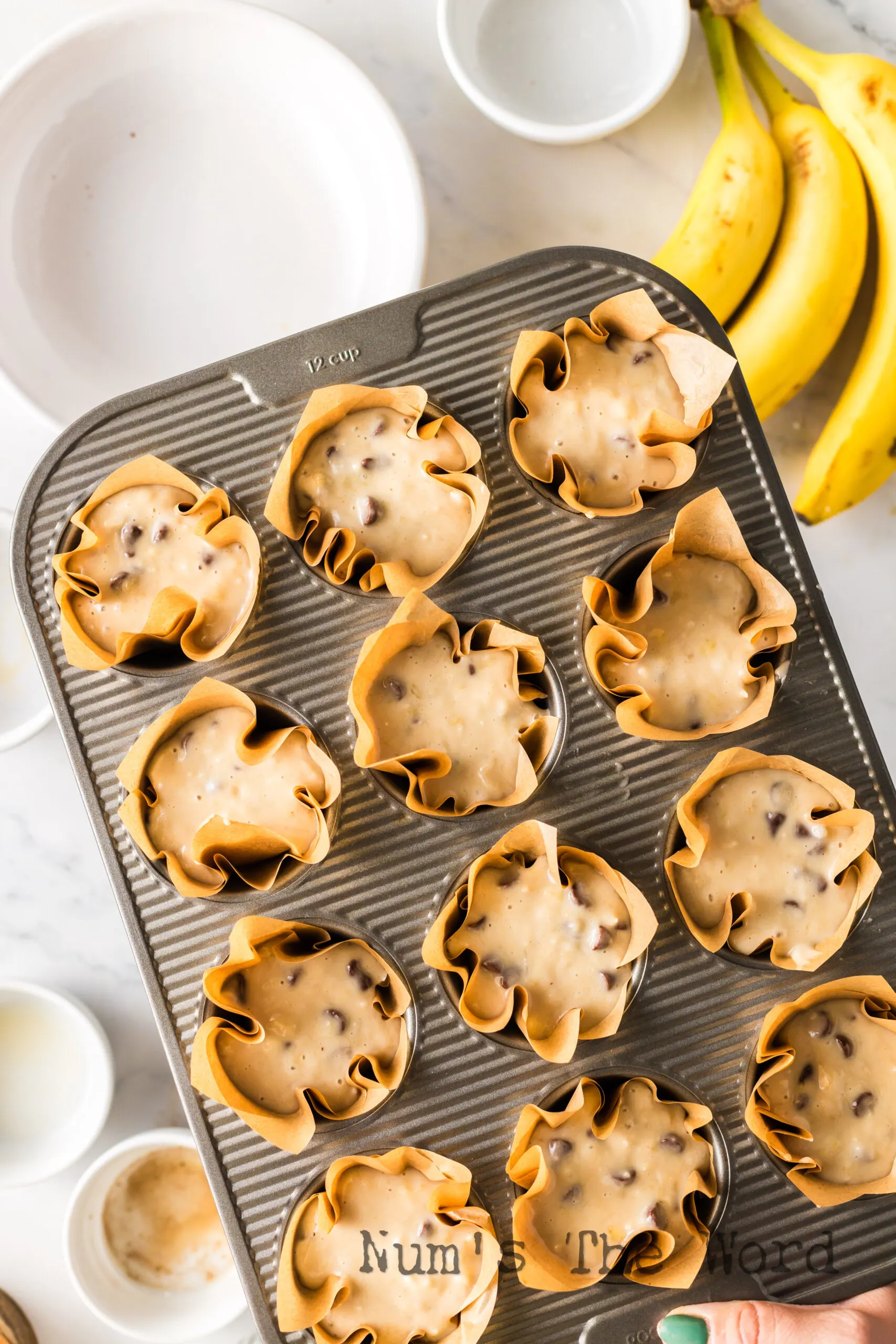 lined muffin tin filled with muffin batter, unbaked.