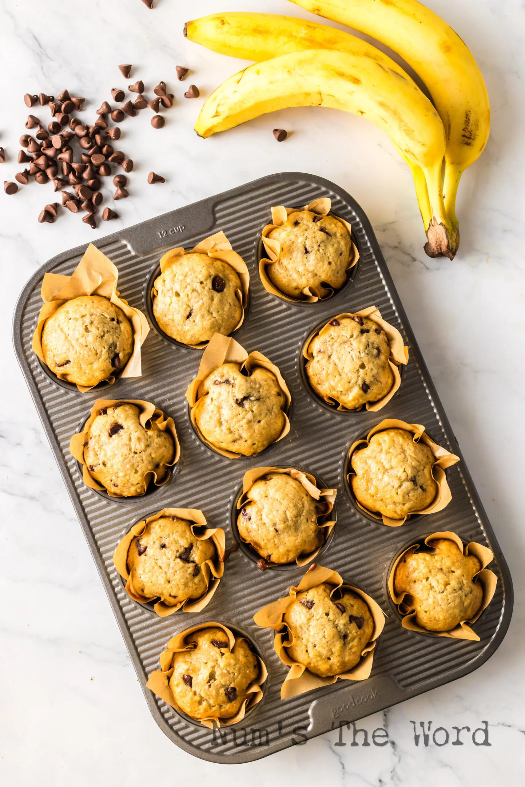 Baked muffins in muffin pan